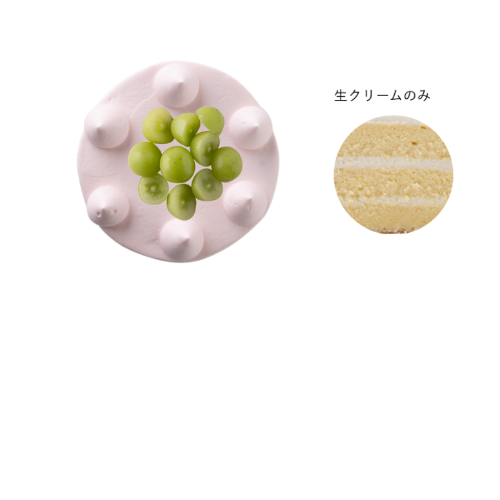 4号：約12cm(2-4名) / ピンク