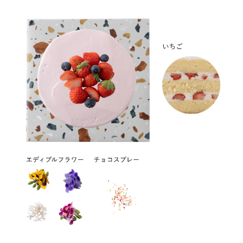 4号：約12cm(2-4名) / ピンク